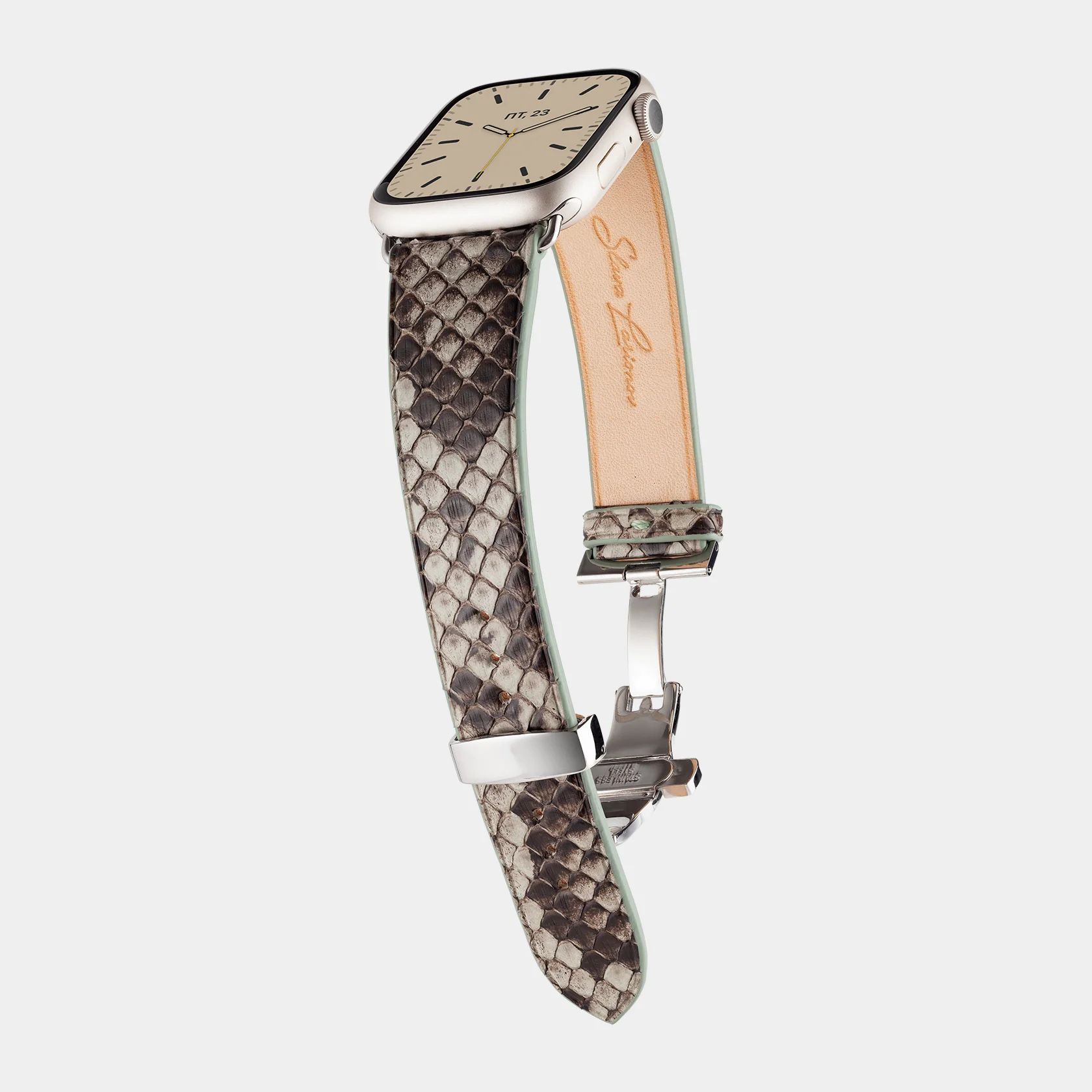 Butterfly / Python Oliva